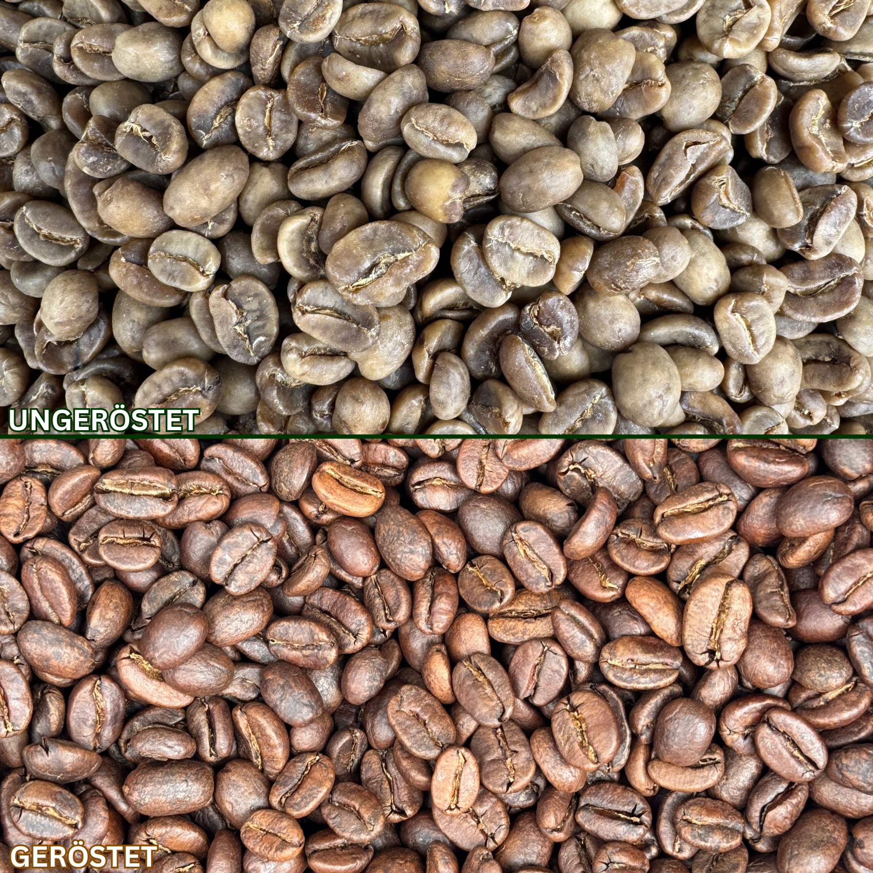 Entkoffeinierte Kaffeebohnen aus Kolumbien für Filterkaffee und Espresso
